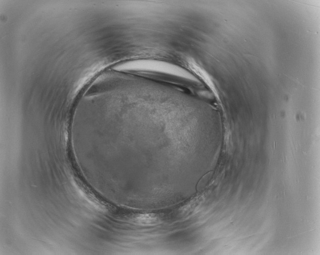 X0000088070059200705251412