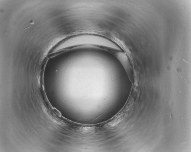 X0000088070060200705251412