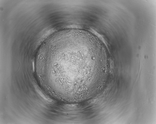 X0000088070061200705251412