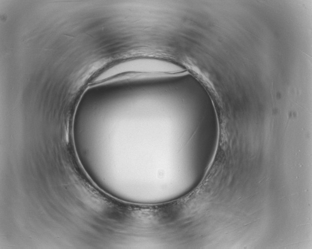 X0000088070062200705251412