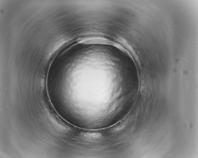 X0000088070063200705251412