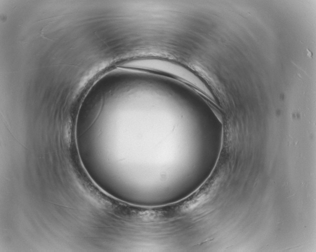 X0000088070064200705251412