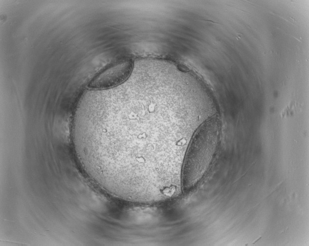 X0000088070065200705251412