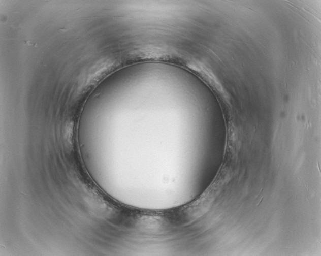 X0000088070066200705251412