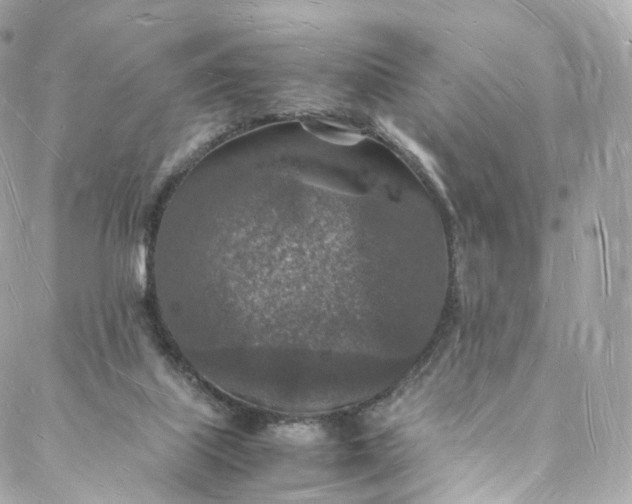 X0000088070067200705251412