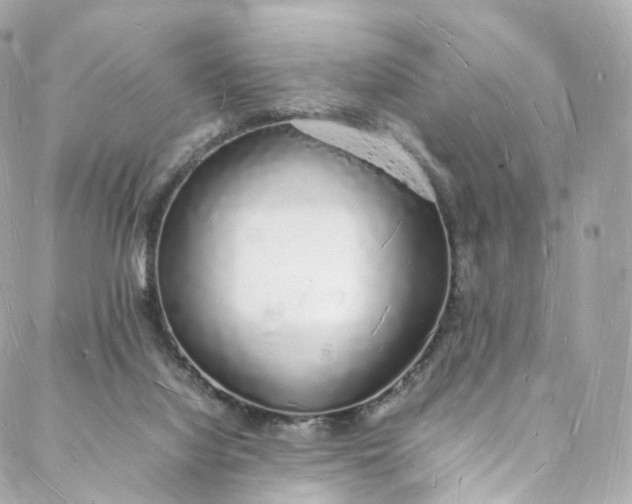 X0000088070068200705251412