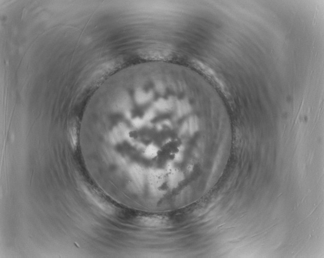 X0000088070069200705251412