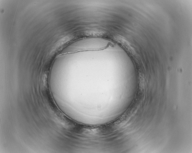 X0000088070071200705251413