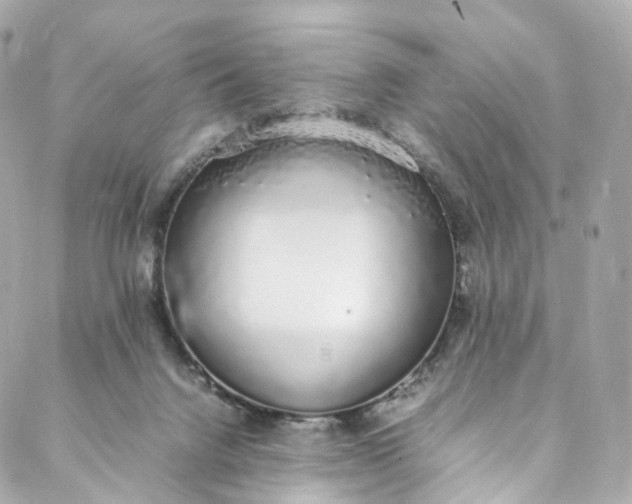 X0000088070072200705251413