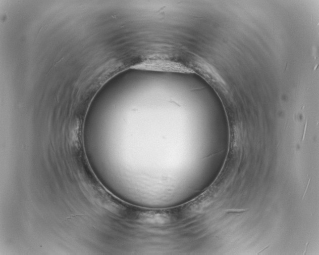 X0000088070073200705251413