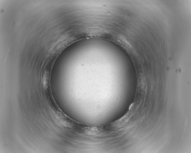 X0000088070074200705251413