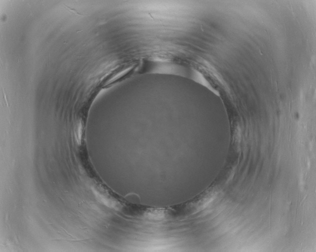 X0000088070076200705251413