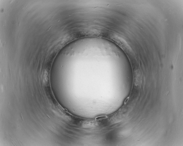 X0000088070077200705251413