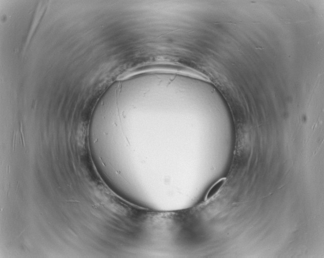 X0000088070078200705251413