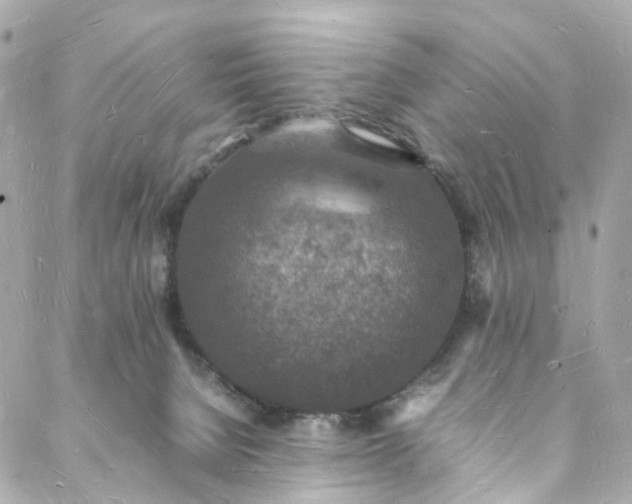 X0000088070080200705251413