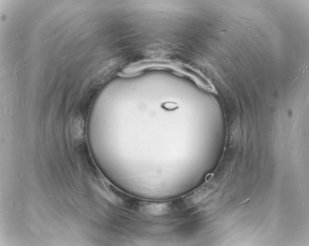 X0000088070081200705251413