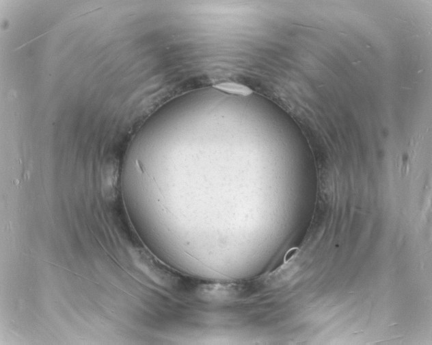 X0000088070082200705251413