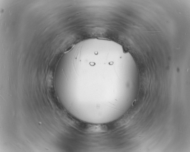 X0000088070083200705251413