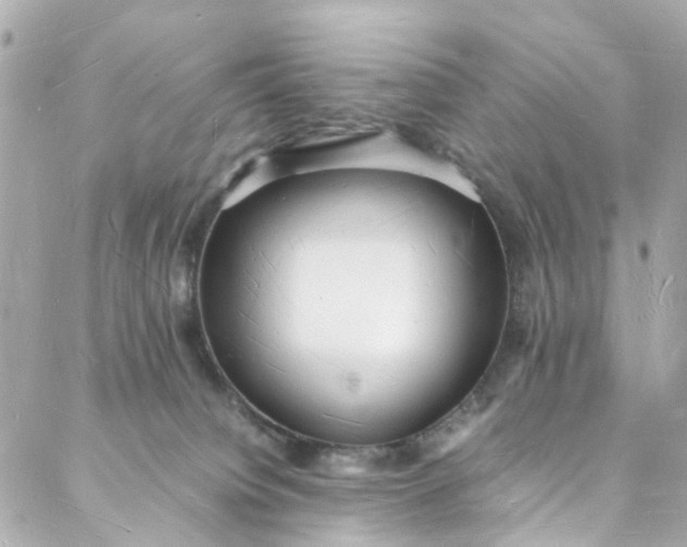 X0000088070084200705251413