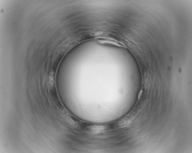 X0000088070085200705251413