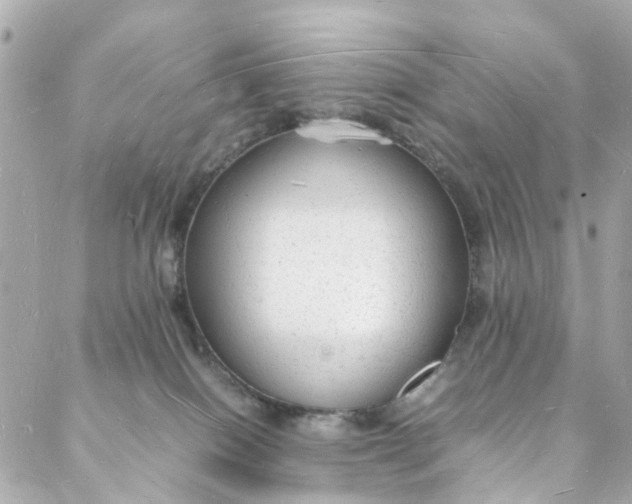 X0000088070086200705251413