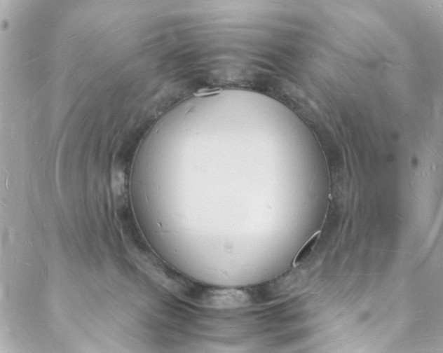 X0000088070087200705251413