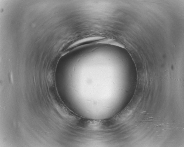 X0000088070088200705251413