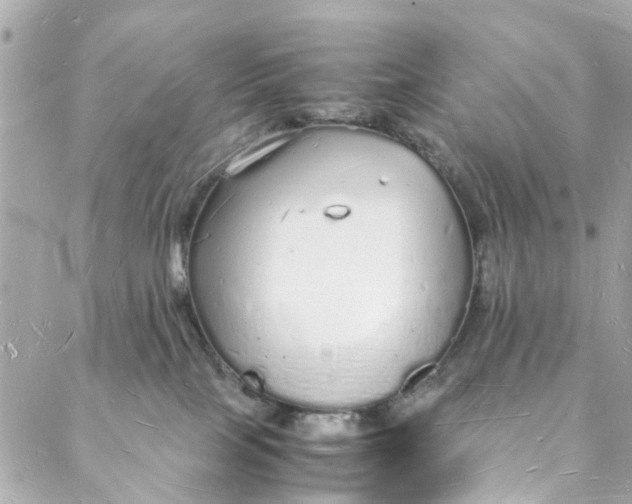 X0000088070089200705251413