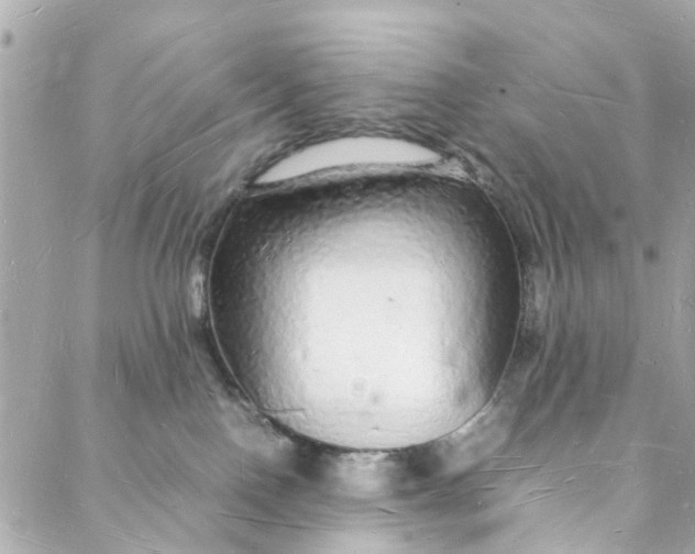 X0000088070090200705251413