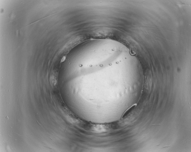 X0000088070091200705251413