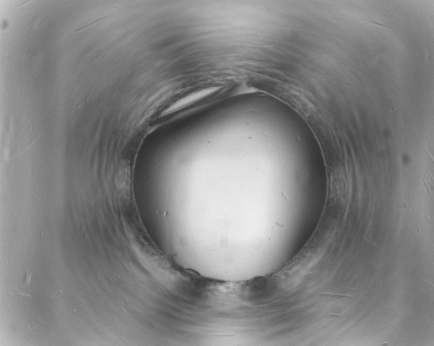 X0000088070092200705251413