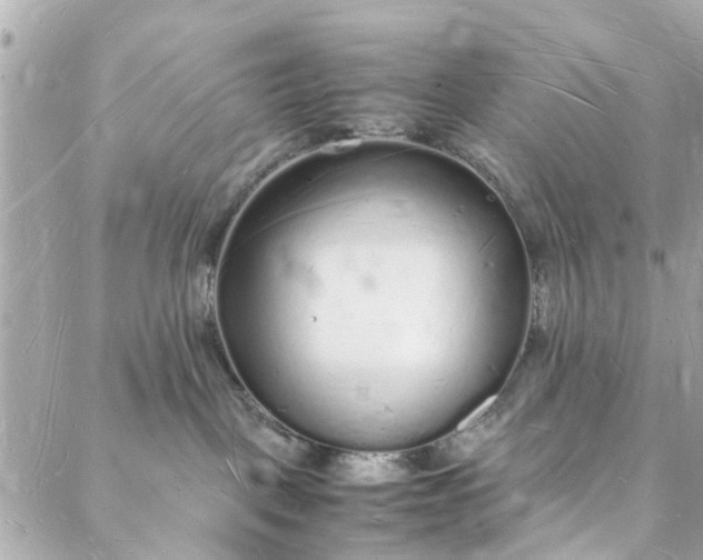 X0000088070093200705251413