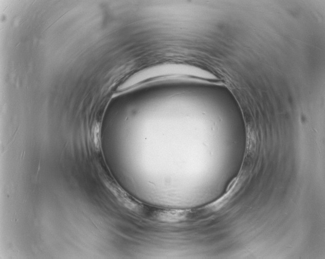 X0000088070094200705251413