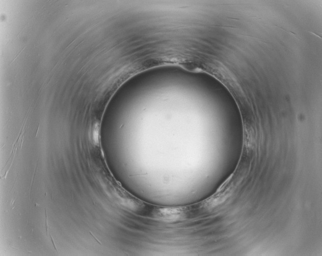 X0000088070095200705251413