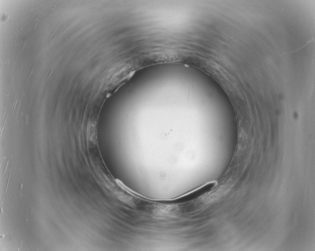 X0000088070096200705251413