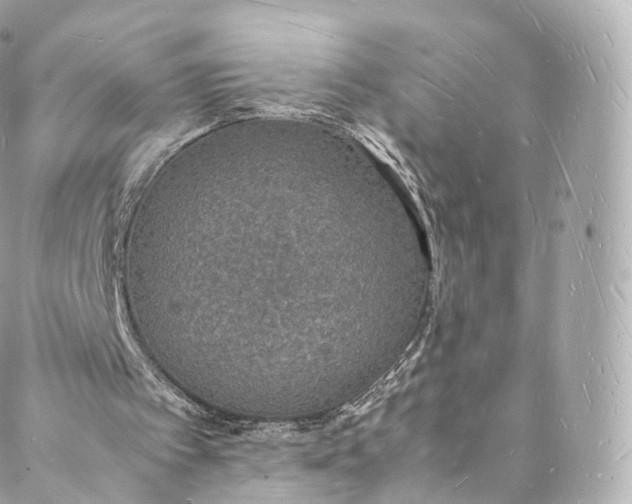 X0000088070097200705251412