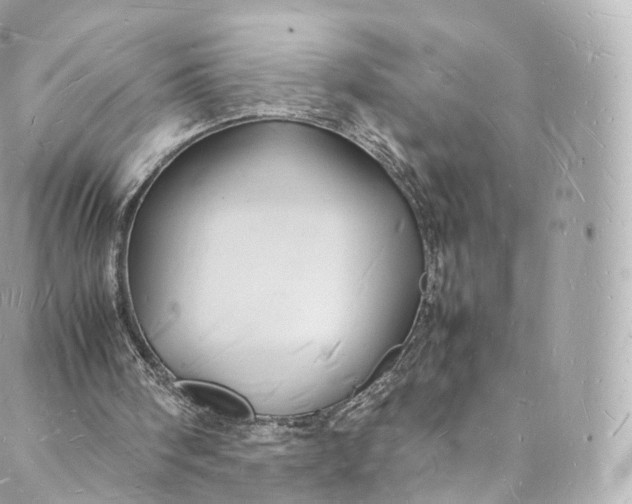 X0000088070098200705251412