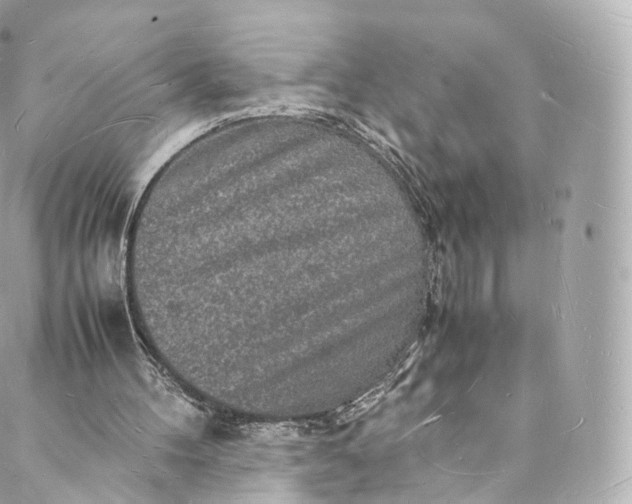 X0000088070100200705251412