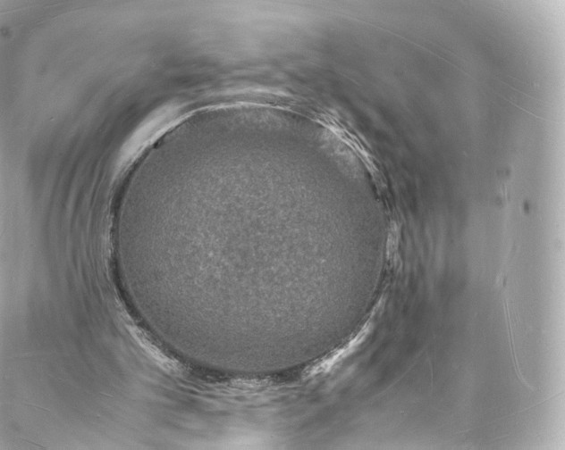 X0000088070101200705251412