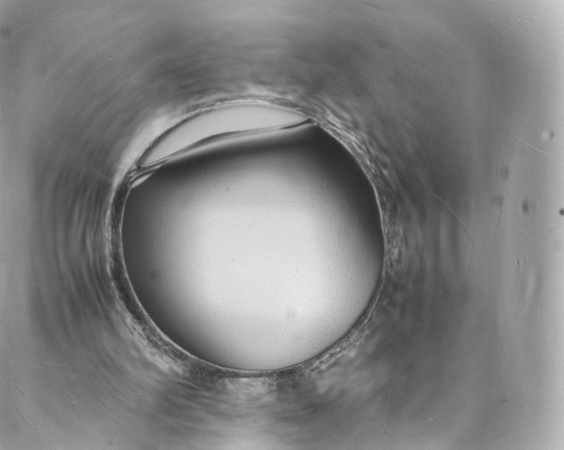 X0000088070102200705251412