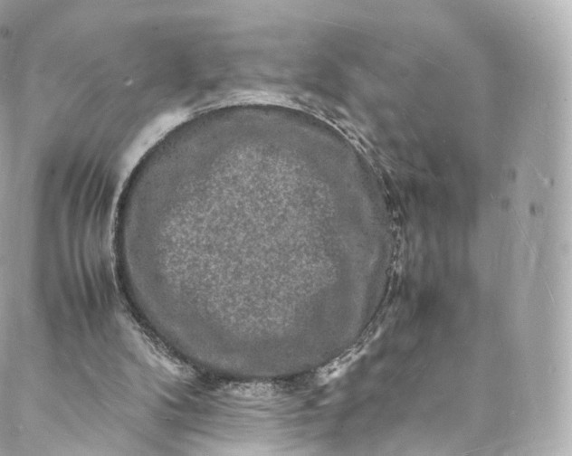 X0000088070104200705251412