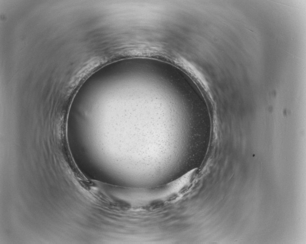 X0000088070105200705251412