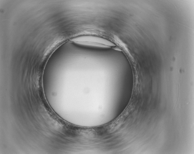 X0000088070106200705251412