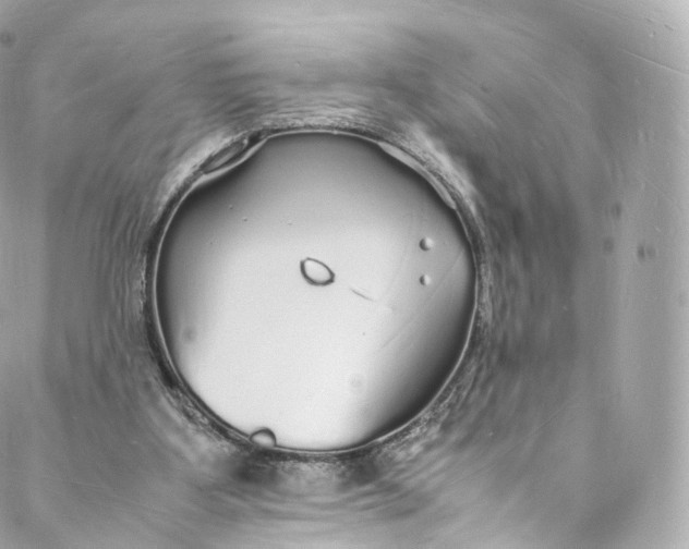 X0000088070107200705251412