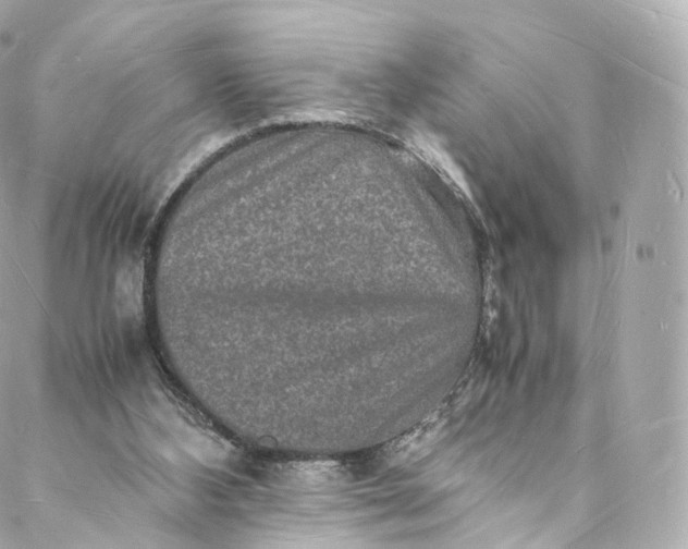 X0000088070108200705251412