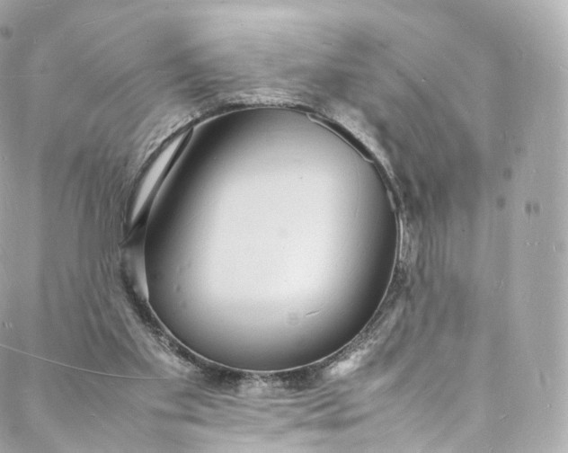 X0000088070109200705251412