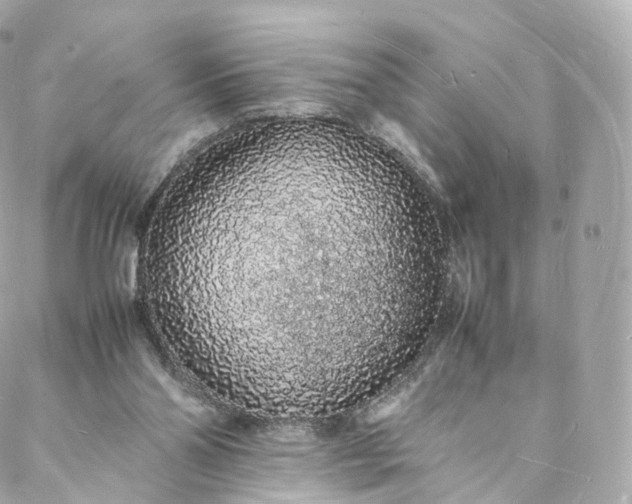 X0000088070110200705251412