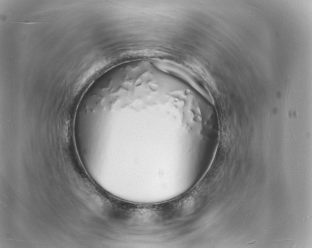 X0000088070111200705251412