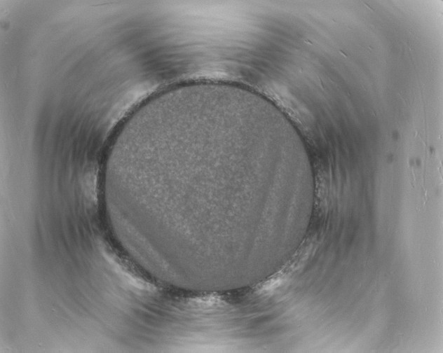 X0000088070112200705251412