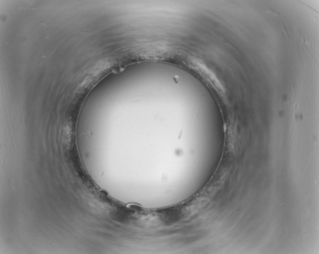 X0000088070113200705251412